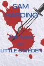The Man On Little Sweden - Preview
