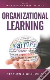 The Manager'S Pocket Guide To Organizational Learning