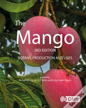 Capa do artigo The Mango