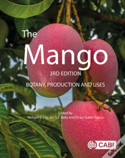 Capa do artigo The Mango