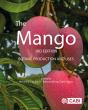 The Mango - Preview