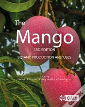Capa do artigo The Mango