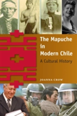 Capa do artigo The Mapuche In Modern Chile