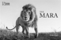 The Mara - Preview