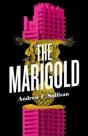 The Marigold - Preview