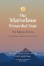 The Marvelous Primordial State - Preview