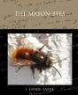 The Mason-Bees - Preview