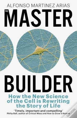Capa do artigo The Master Builder