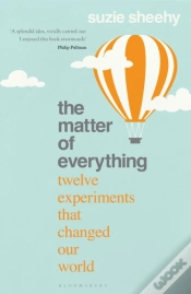 Capa do artigo The Matter Of Everything