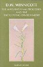 The Maturational Processes And The Facilitating Environment - Preview