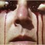 The Maximalist - CD - Preview