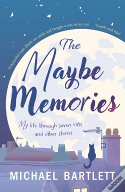 Capa do artigo The Maybe Memories