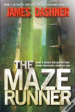 Capa do artigo The Maze Runner