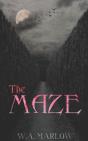 The Maze - Preview
