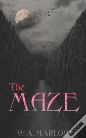 The Maze