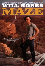 Capa do artigo The Maze