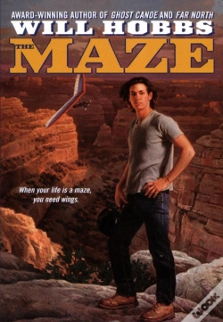Capa do artigo The Maze