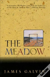 Capa do artigo The Meadow