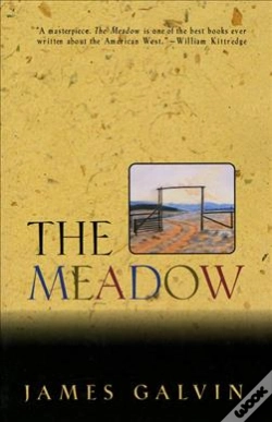 Capa do artigo The Meadow