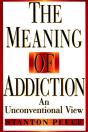 The Meaning Of Addiction - Preview