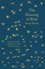The Meaning Of Birds - Preview