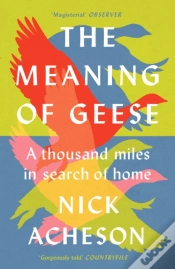 Capa do artigo The Meaning Of Geese