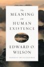 The Meaning Of Human Existence - Preview