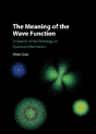 The Meaning Of The Wave Function - Preview