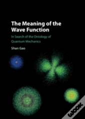 The Meaning Of The Wave Function