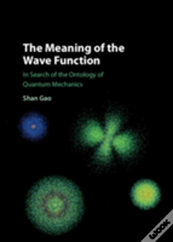 Capa do artigo The Meaning Of The Wave Function