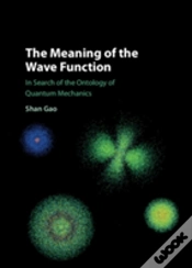 Capa do artigo The Meaning Of The Wave Function