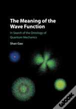 The Meaning Of The Wave Function