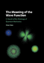 The Meaning Of The Wave Function - Preview
