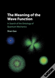 Capa do artigo The Meaning Of The Wave Function
