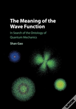 Capa do artigo The Meaning Of The Wave Function