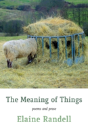 The Meaning Of Things - Preview