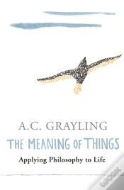 Capa do artigo The Meaning Of Things