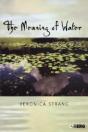 The Meaning Of Water - Preview