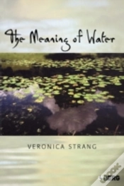 Capa do artigo The Meaning Of Water