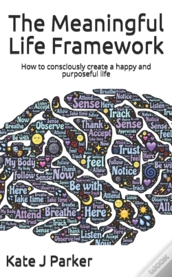 Capa do artigo The Meaningful Life Framework