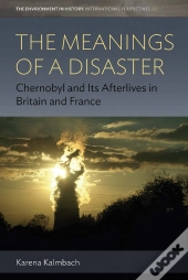 The Meanings Of A Disaster