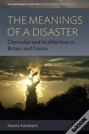 Capa do artigo The Meanings Of A Disaster
