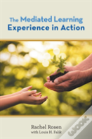 The Mediated Learning Experience In Action