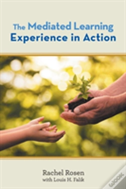 Capa do artigo The Mediated Learning Experience In Action