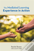 The Mediated Learning Experience In Action