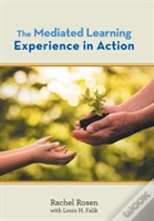 The Mediated Learning Experience In Action