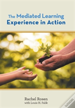 Capa do artigo The Mediated Learning Experience In Action