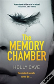 Capa do artigo The Memory Chamber