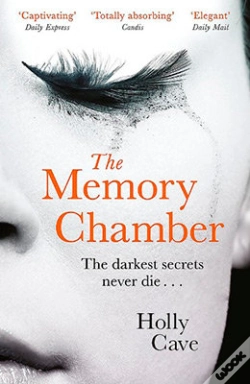 Capa do artigo The Memory Chamber