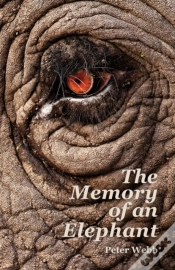 Capa do artigo The Memory Of An Elephant